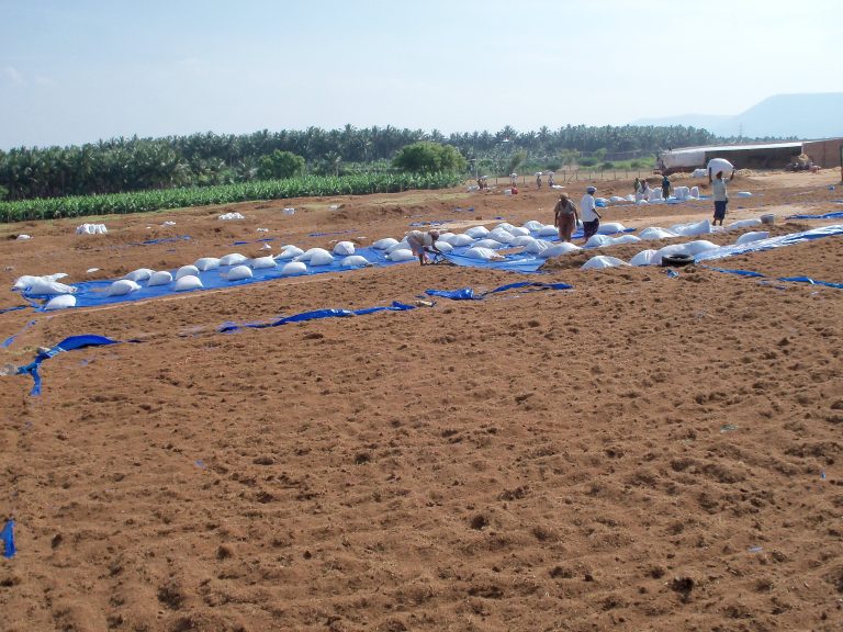 coco peat drying